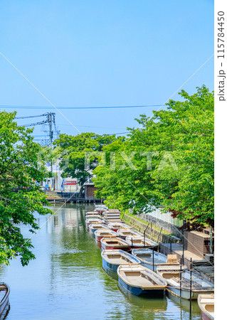 初夏の柳川の風景 松月乗船場 福岡県柳川市 初夏の柳川の風景 松月乗船場 福岡県柳川市 115784450