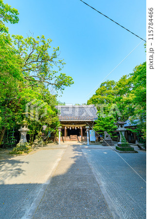 初夏の日吉神社　福岡県柳川市 115784466
