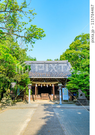 初夏の日吉神社　福岡県柳川市 115784467