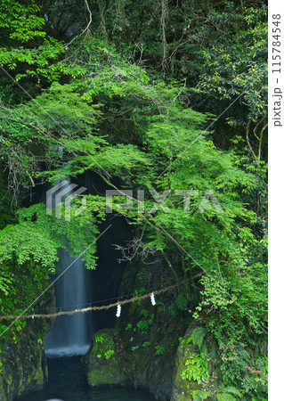 猫又の滝 【奈良県十津川村折立】 猫又の滝 【奈良県十津川村折立】 115784548