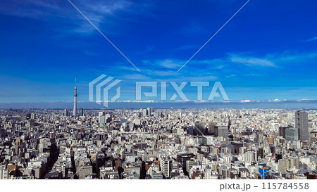 日本橋 上空からの眺め 都市風景 日本橋 上空からの眺め 都市風景 115784558