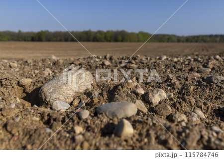 preparing the soil for sowing in spring preparing the soil for sowing in spring 115784746