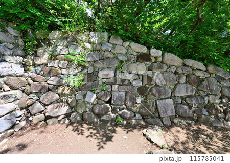 伊丹氏・荒木村重が居城　摂津「有岡城」の現在の様子 115785041