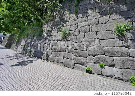 伊丹氏・荒木村重が居城 摂津「有岡城」の現在の様子 伊丹氏・荒木村重が居城 摂津「有岡城」の現在の様子 115785042