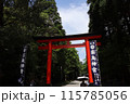 鹿児島霧島神宮 115785056