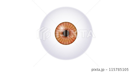 Iris medical poster 115785105