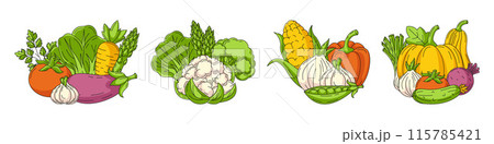 Set with various compositions of seasonal vegetables. Narrow horizontal banner. Fresh and healthy farm veggies, organic product, eco natural produce, harvesting. For poster, menu, flyer, cover, card 115785421
