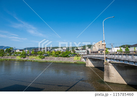 京都鴨川正面橋付近の風景 京都鴨川正面橋付近の風景 115785460