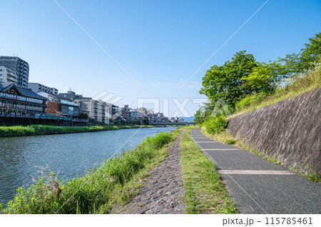 京都鴨川風景 115785461