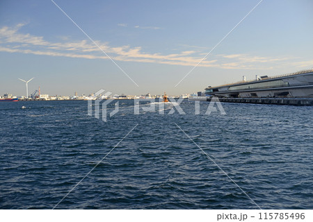 象の鼻防波堤から横浜大さん橋を望む-2 115785496