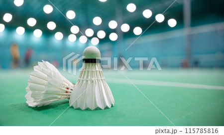 Badminton shuttlecock on the floor with blur badminton indoor sport game court background with space for text 115785816