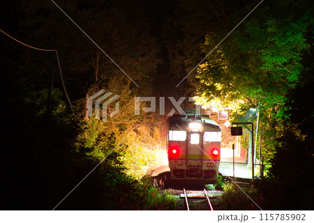 豊ヶ岡駅 115785902