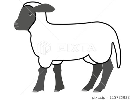 横から見たサフォーク種の仔羊の線画 115785928