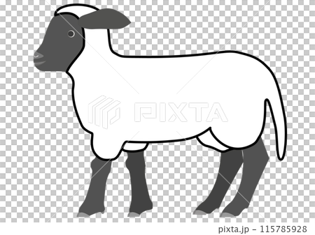 横から見たサフォーク種の仔羊の線画 115785928