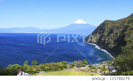 井田から望む、海越しの、青い空と海と青い海と富士山 115786279