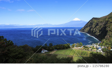 井田から望む、海越しの、青い空と海と青い海と富士山 115786280