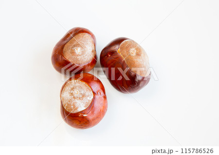 chestnuts 115786526