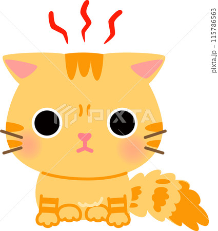 警戒した様子でしゃがんでいるトラ猫 警戒した様子でしゃがんでいるトラ猫 115786563