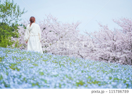 Girl at cherry tree and Nemophila garden, Uminonakamichi park, Fukuoka Girl at cherry tree and Nemophila garden, Uminonakamichi park, Fukuoka 115786789