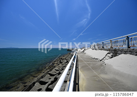 江口浜海浜公園の海沿い風景 江口浜海浜公園の海沿い風景 115786847
