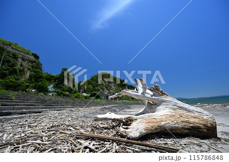 迫力がある江口浜海浜公園の風景 迫力がある江口浜海浜公園の風景 115786848