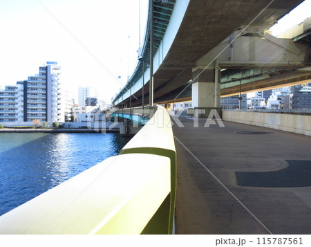 隅田川にかかる「隅田川大橋」 115787561