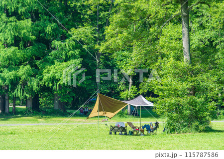 公園でタープを張って、デイキャンプを楽しむ 115787586