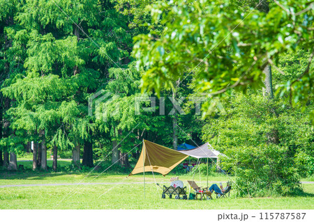 公園でタープを張って、デイキャンプを楽しむ 115787587