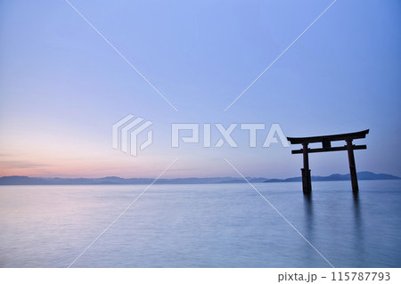 白髭神社　早朝の湖中大鳥居　横構図23 115787793