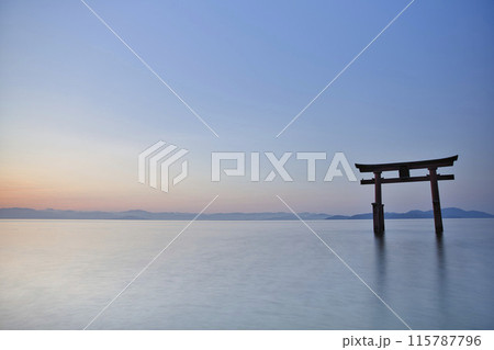 白髭神社　早朝の湖中大鳥居　横構図26 115787796