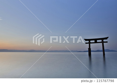 白髭神社　早朝の湖中大鳥居　横構図28 115787798