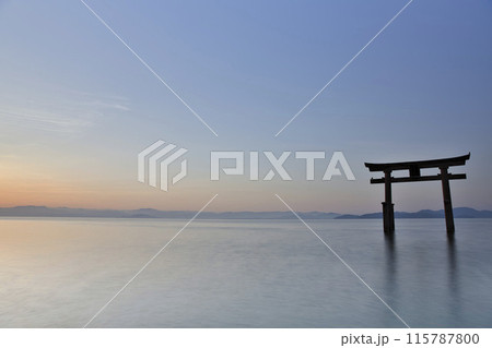 白髭神社　早朝の湖中大鳥居　横構図30 115787800