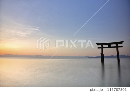 白髭神社　早朝の湖中大鳥居　横構図31 115787801