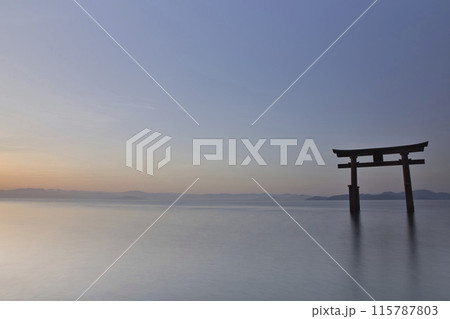 白髭神社　早朝の湖中大鳥居　横構図33 115787803