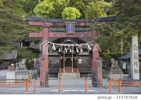白髭神社 鳥居と境内 横構図2 白髭神社 鳥居と境内 横構図2 115787816