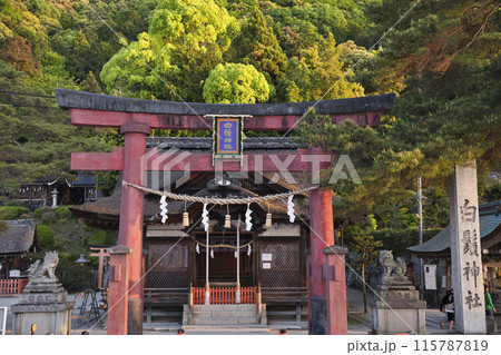 白髭神社　鳥居と境内　横構図3 115787819