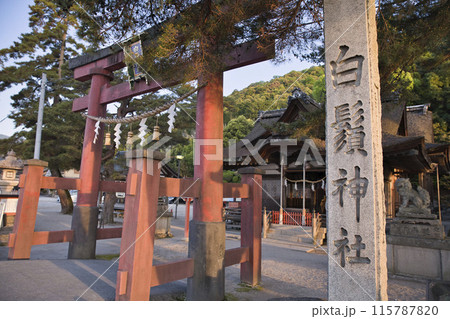 朝日に照らされる鳥居と標柱　横構図1 115787820