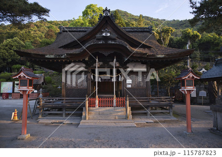 白髭神社 本殿と拝殿 横構図1 白髭神社 本殿と拝殿 横構図1 115787823