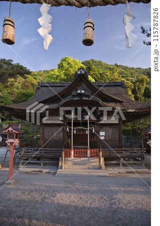 白髭神社 本殿と拝殿 縦構図 白髭神社 本殿と拝殿 縦構図 115787826