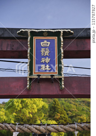 白髭神社 鳥居の扁額 縦構図 白髭神社 鳥居の扁額 縦構図 115787827