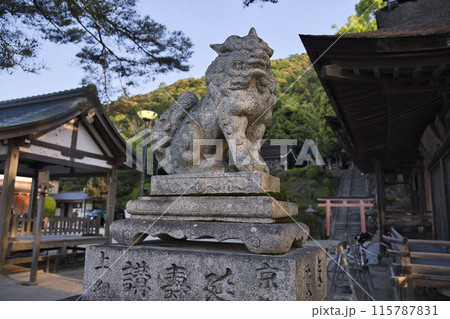 白髭神社 狛犬吽形 白髭神社 狛犬吽形 115787831