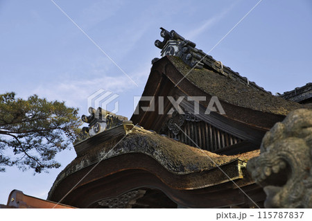 白髭神社　檜皮葺の屋根と神紋の左三ツ巴 115787837