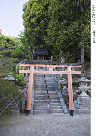 白髭神社の境内 上の宮に続く鳥居と石段 縦構図 白髭神社の境内 上の宮に続く鳥居と石段 縦構図 115787847