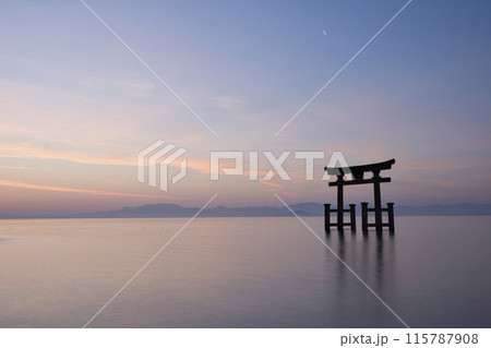 白髭神社　早朝の湖中大鳥居　横構図2 115787908
