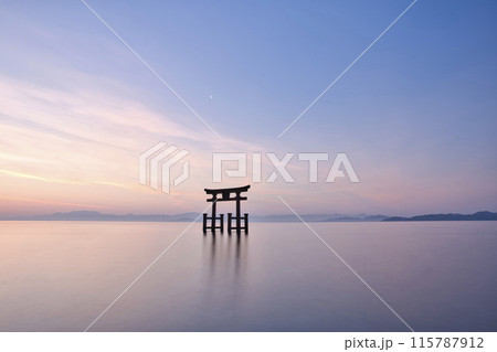 白髭神社　早朝の湖中大鳥居　横構図4 115787912
