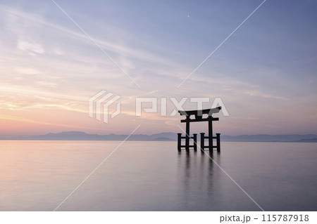 白髭神社　早朝の湖中大鳥居　横構図8 115787918