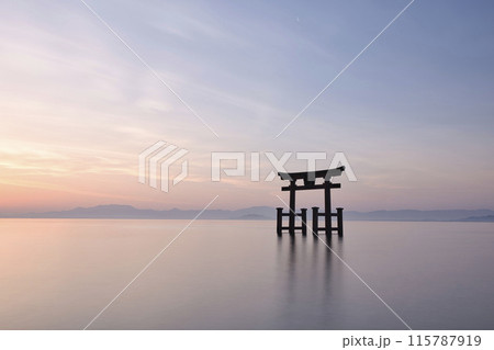 白髭神社　早朝の湖中大鳥居　横構図9 115787919