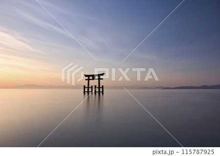 白髭神社 早朝の湖中大鳥居 横構図15 白髭神社 早朝の湖中大鳥居 横構図15 115787925