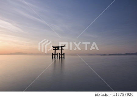 白髭神社 早朝の湖中大鳥居 横構図16 白髭神社 早朝の湖中大鳥居 横構図16 115787926