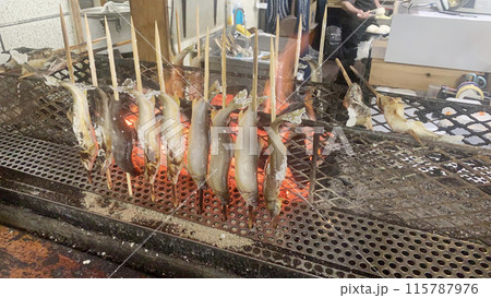 炭火焼きの鮎 塩焼きの川魚 炭火焼きの鮎 塩焼きの川魚 115787976